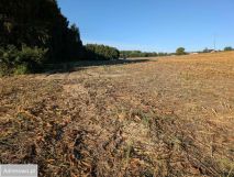 Działka budowlana Serock, ul. Leśna. Zdjęcie 1