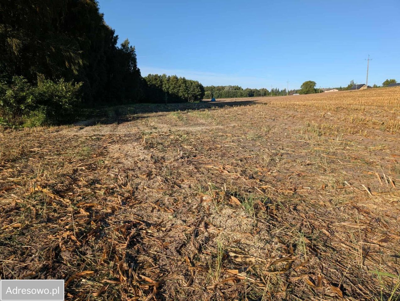 Działka budowlana Serock, ul. Leśna. Zdjęcie 2