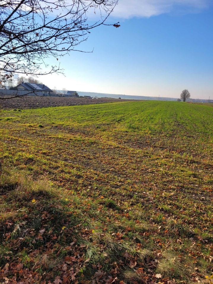 Działka budowlana Grabik. Zdjęcie 3