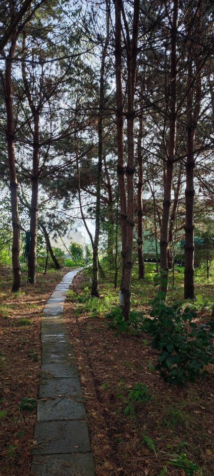 gospodarstwo Ruda. Zdjęcie 7