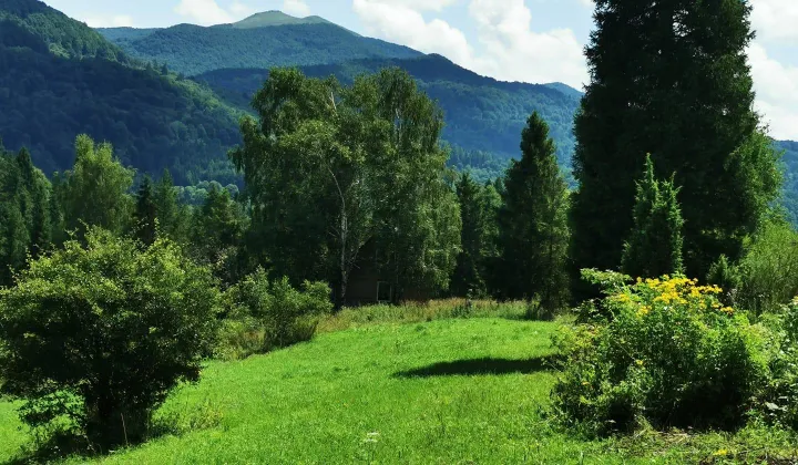 Działka budowlana Kalnica