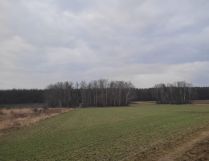 Działka rolno-budowlana Petrykozy, ul. Pogodna. Zdjęcie 2