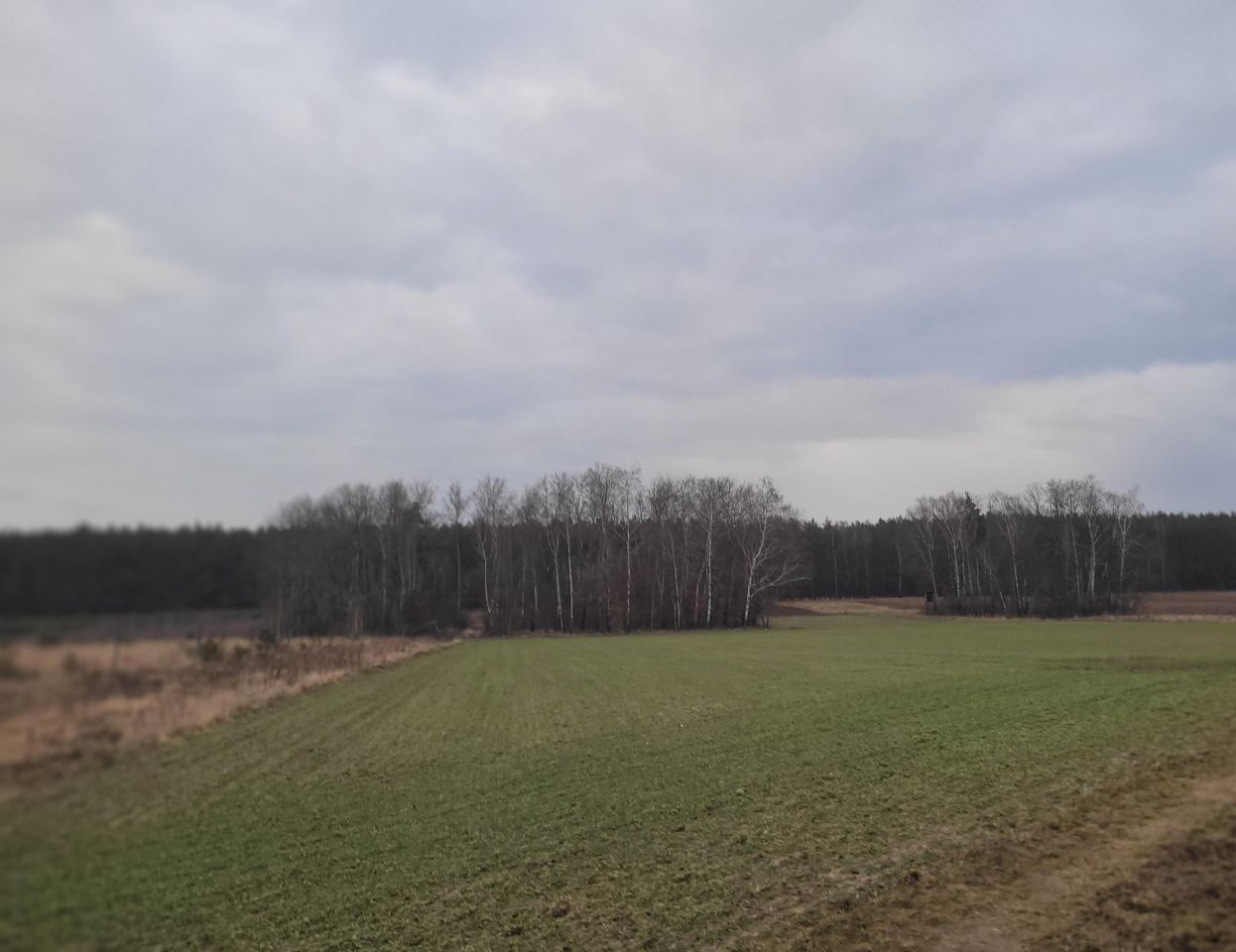 Działka rolno-budowlana Petrykozy, ul. Pogodna. Zdjęcie 3