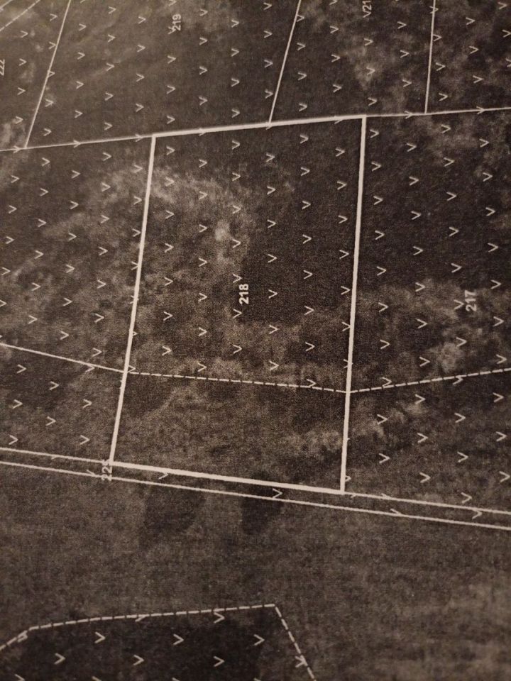 Działka rolna Mściszewice Bębny. Zdjęcie 5