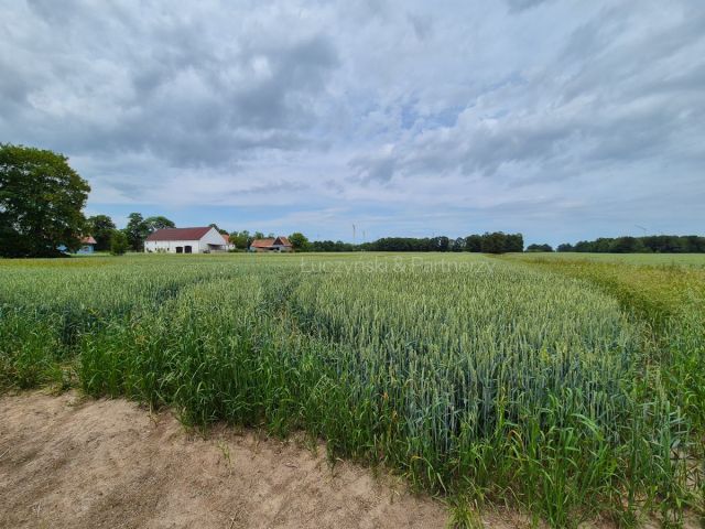 Działka siedliskowa Nowa Wieś Złotoryjska. Zdjęcie 4