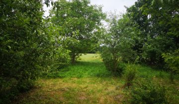 Działka rolno-budowlana Wola Dębska