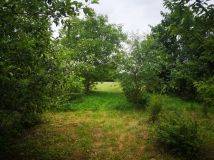 Działka rolno-budowlana Wola Dębska. Zdjęcie 1