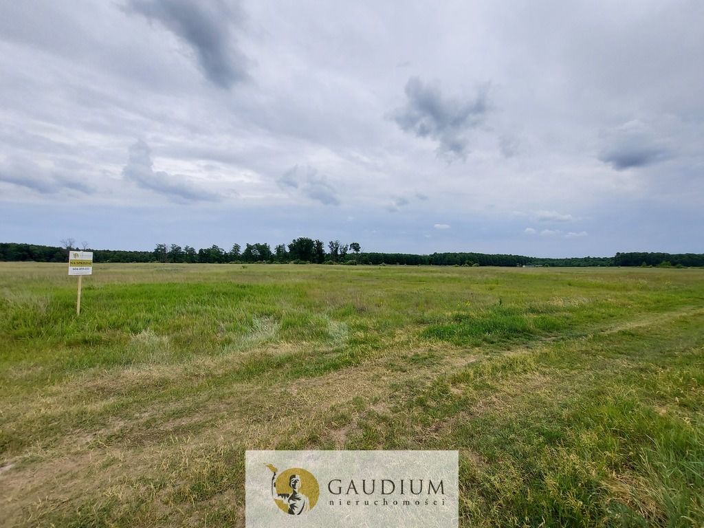 Działka Karszyn. Zdjęcie 17