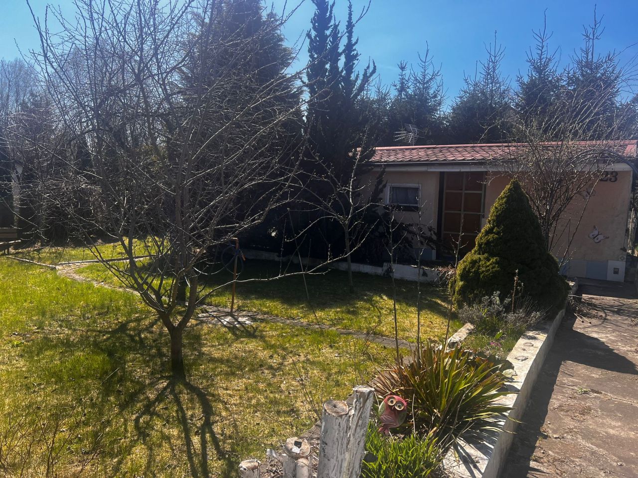 Działka rekreacyjna Lesiak Ostródzki. Zdjęcie 6