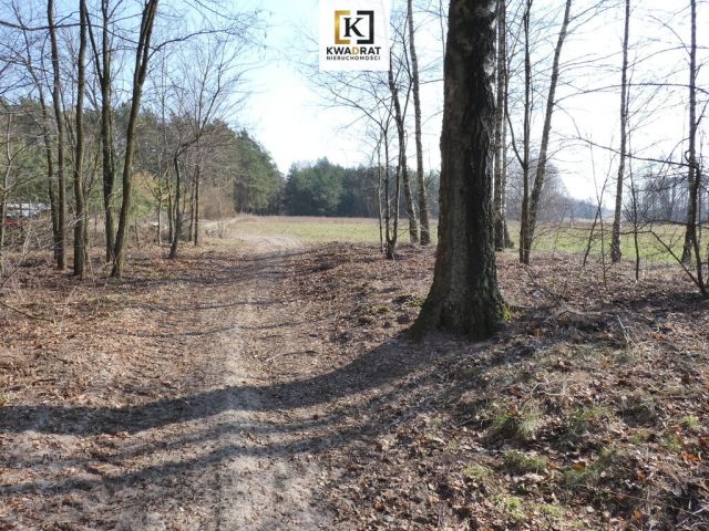 Działka budowlana Budy Wielgoleskie. Zdjęcie 6