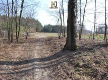 Działka budowlana Budy Wielgoleskie. Zdjęcie 4