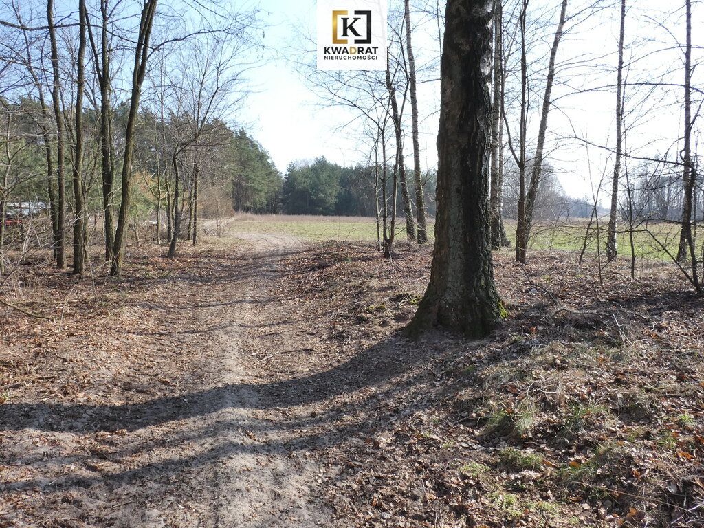 Działka budowlana Budy Wielgoleskie. Zdjęcie 6