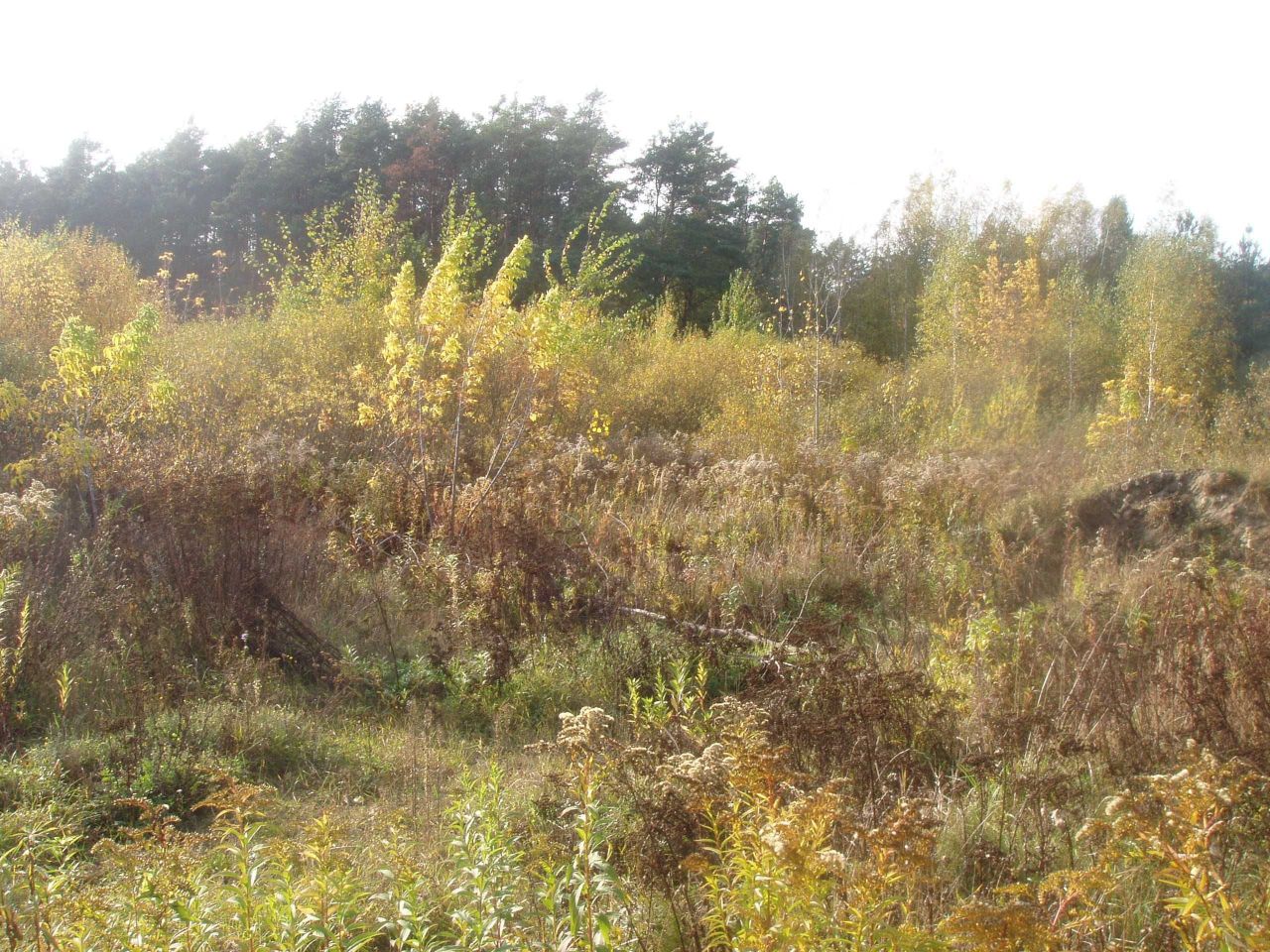 Działka budowlana Nuna. Zdjęcie 4