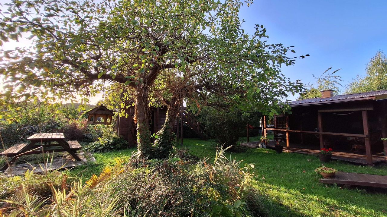 Działka rod Piła Centrum, ul. Paderewskiego. Zdjęcie 4