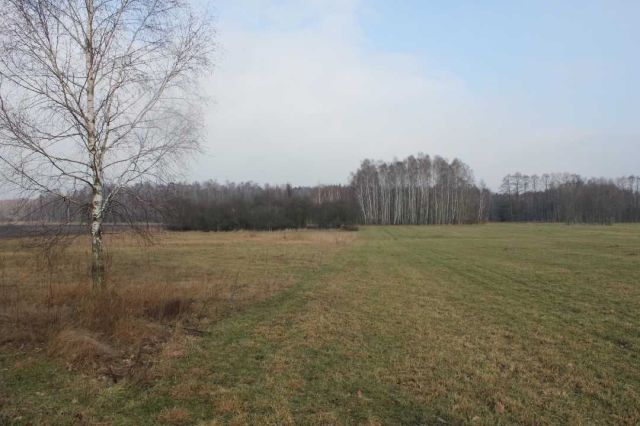 Działka rolno-budowlana Grunwald. Zdjęcie 1