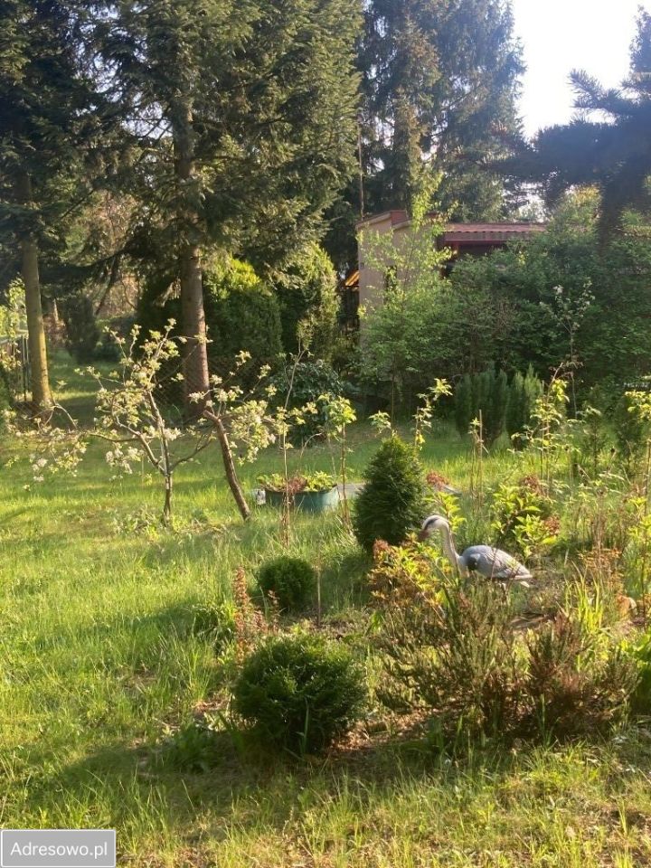 Działka rod Stefanowo, ul. Ułanów. Zdjęcie 8