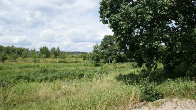 Działka budowlana Mosina. Zdjęcie 1