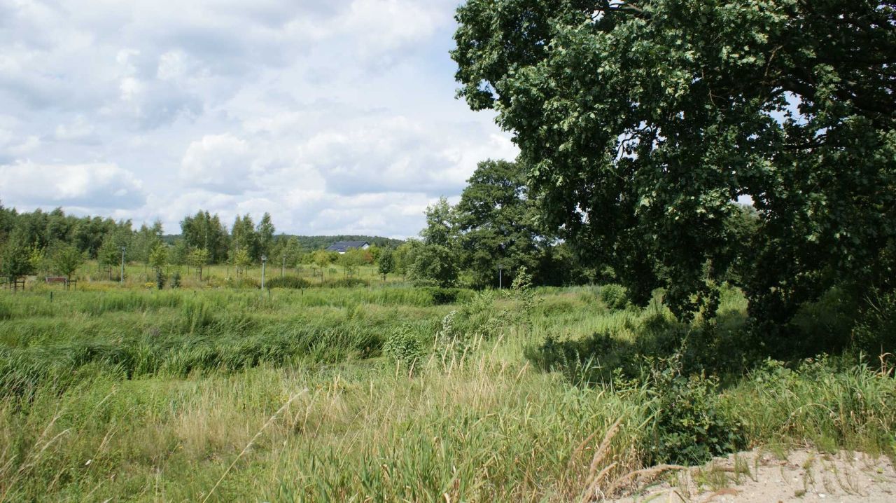 Działka budowlana Mosina. Zdjęcie 1