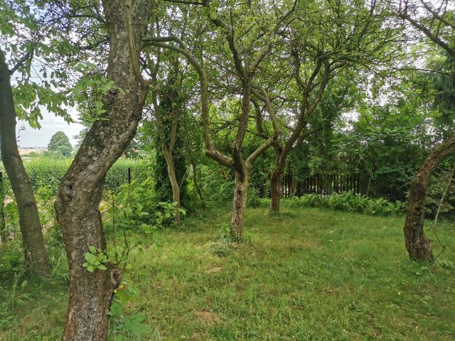 Działka budowlana Trojanowice, ul. Widokowa. Zdjęcie 1