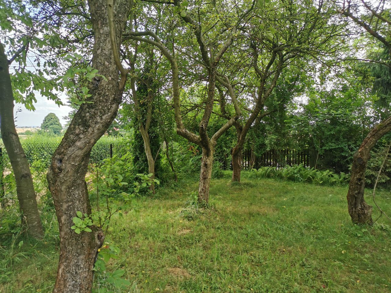 Działka budowlana Trojanowice, ul. Widokowa