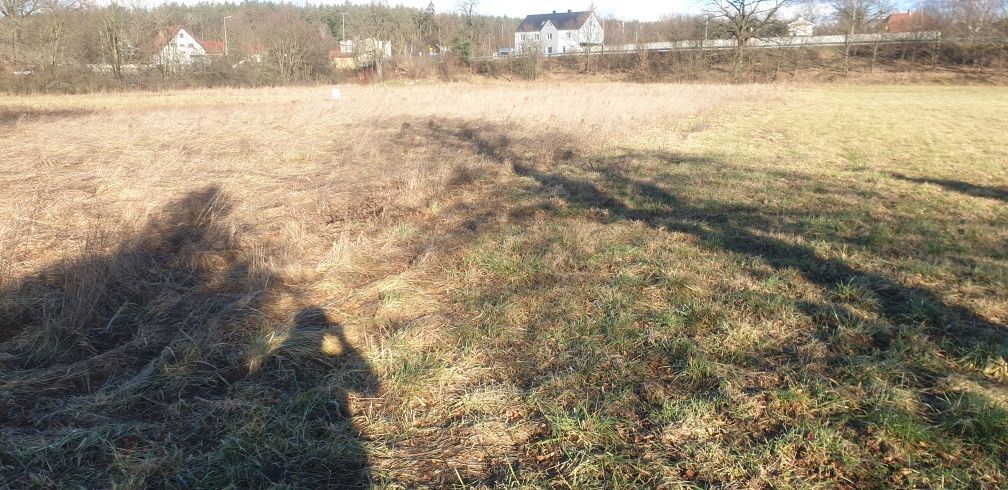 Działka budowlana Dąbrowa Bolesławiecka. Zdjęcie 4