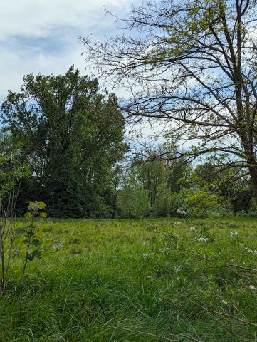 Działka budowlana Strońsko. Zdjęcie 2