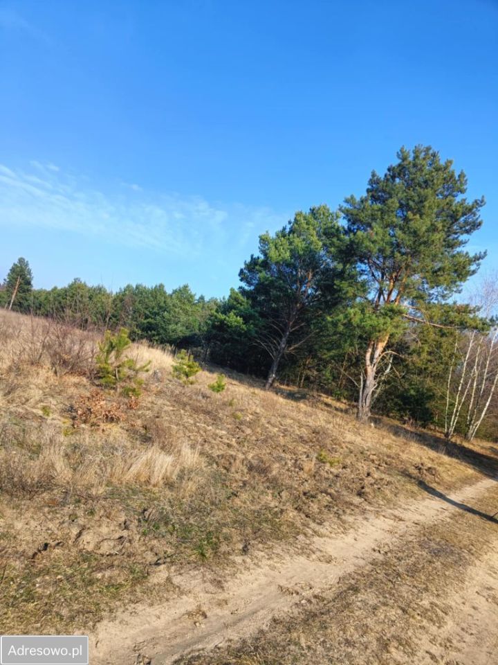 Działka rolno-budowlana Olszewnica Nowa, ul. Spacerowa. Zdjęcie 1