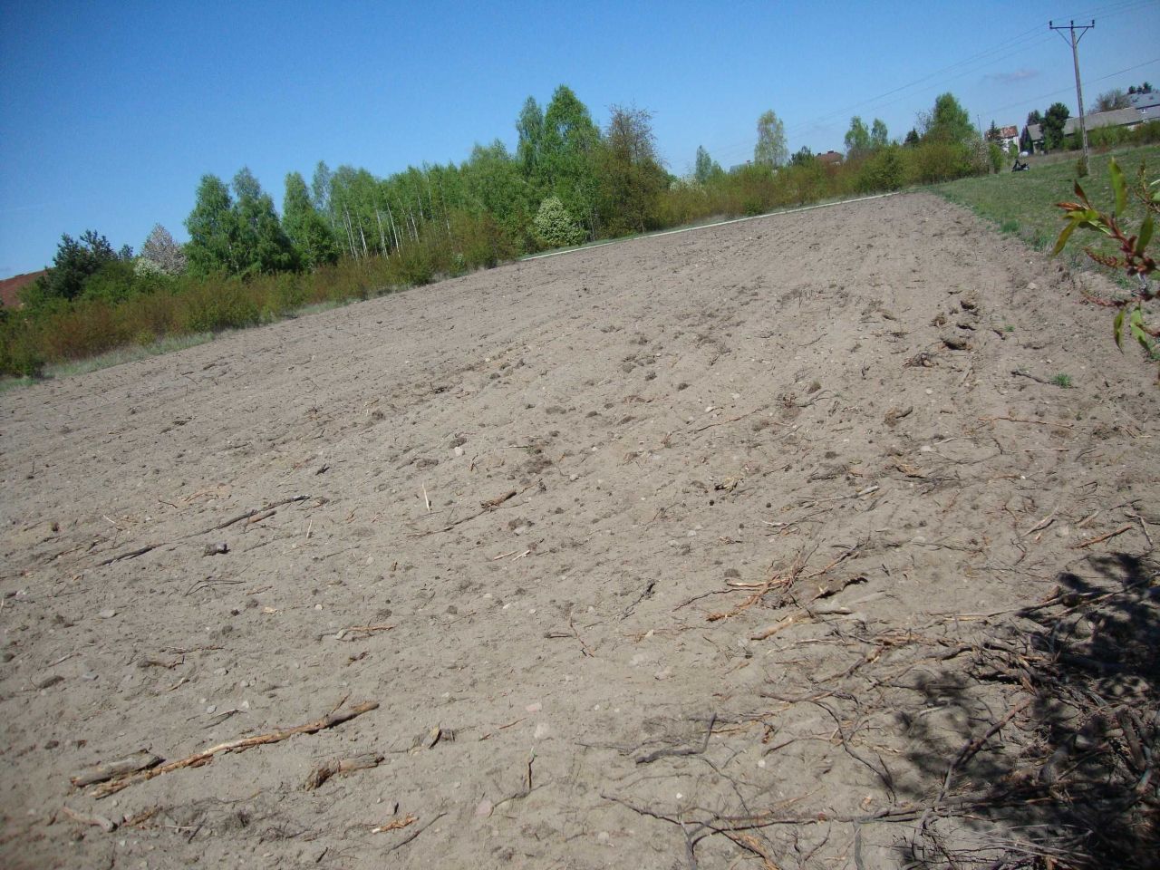 Działka rolno-budowlana Siemiatycze. Zdjęcie 6