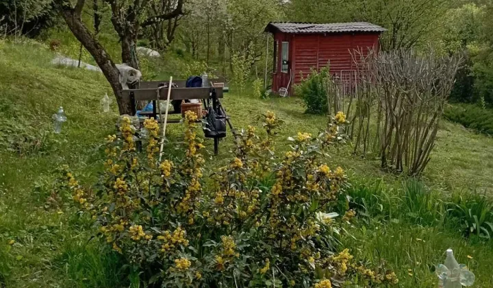 Działka rod Dąbrowica