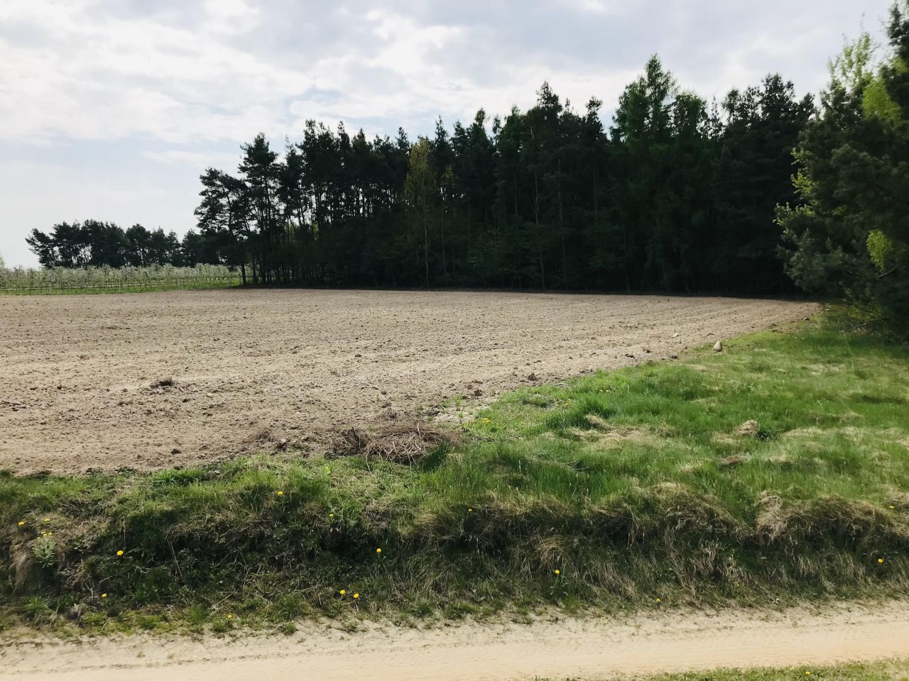 Działka rolna Rudka. Zdjęcie 6