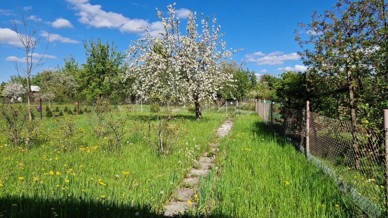 Działka rod Świdnica. Zdjęcie 2