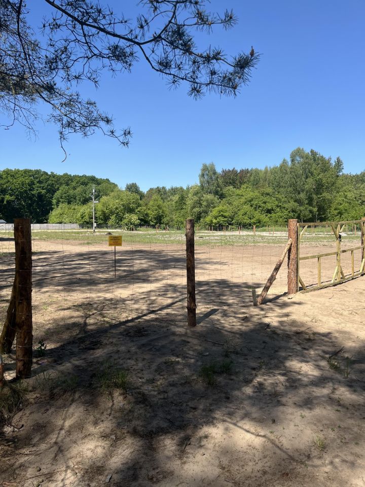 Działka rolna Dębostrów Stary Dębostrów. Zdjęcie 2