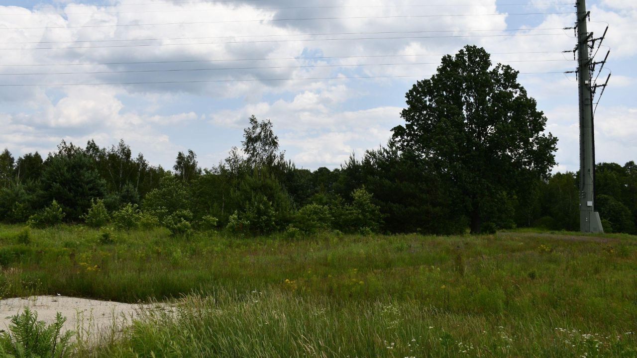 Działka inwestycyjna Szczaki, ul. Łanowa. Zdjęcie 8