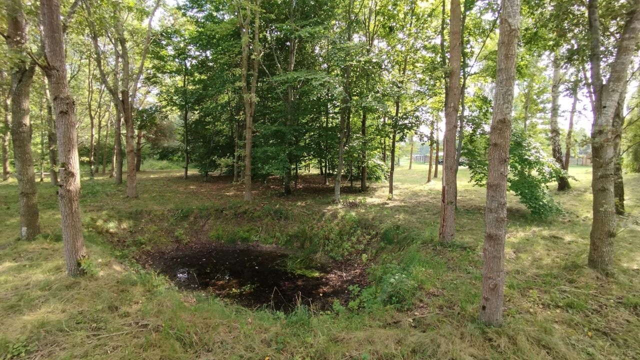 Działka budowlana Skarpa. Zdjęcie 6