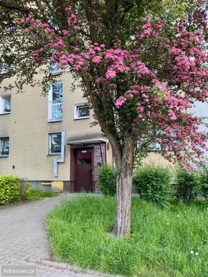 Mieszkanie 3-pokojowe Warszawa Wola, ul. Astronomów. Zdjęcie 8