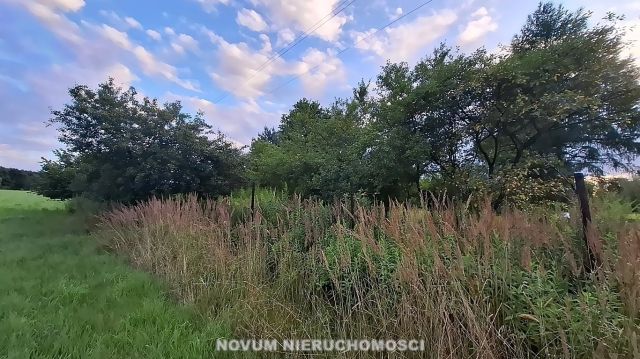 Działka rolno-budowlana Szałsza. Zdjęcie 2