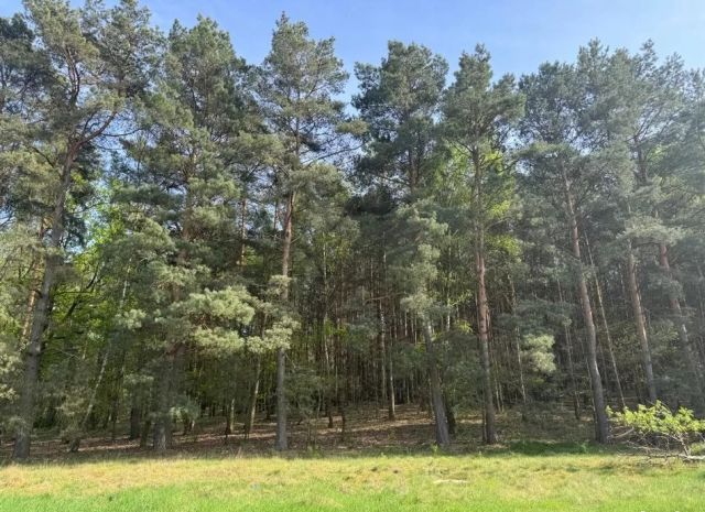 Działka budowlana Zielona Góra Racula, ul. Racula-Podleśna. Zdjęcie 1