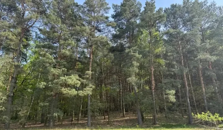 Działka budowlana Zielona Góra Racula, ul. Racula-Podleśna