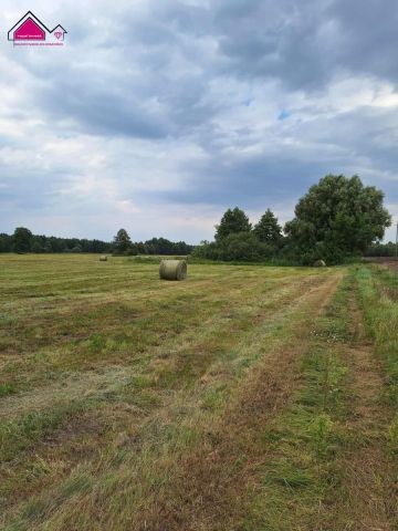 Działka rolna Wilcza Kłoda. Zdjęcie 2