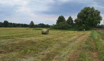 Działka rolna Wilcza Kłoda