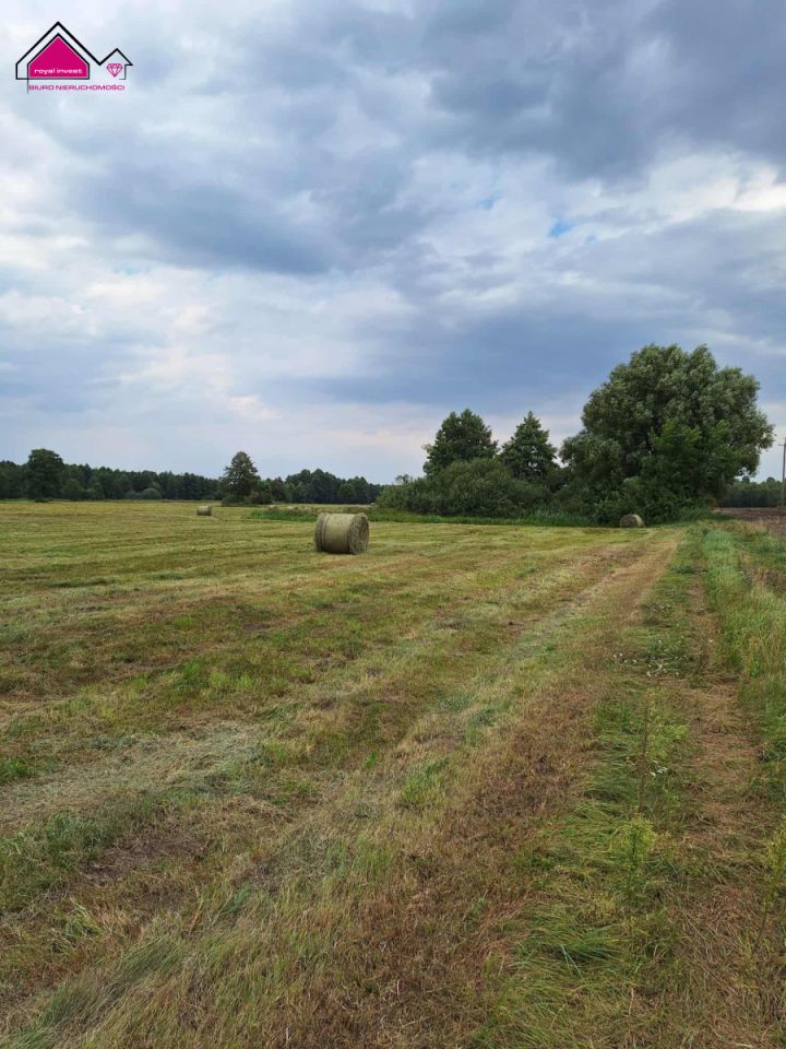 Działka rolna Wilcza Kłoda. Zdjęcie 2