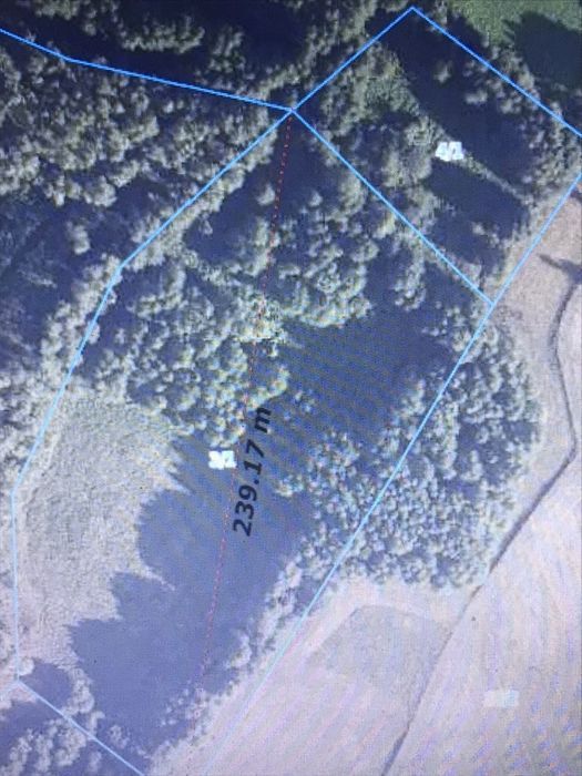 Działka rolna Gościeszyn. Zdjęcie 3