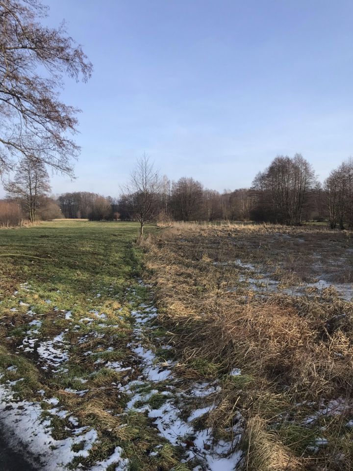 Działka budowlana Kalisz Lis, ul. Myśliwska. Zdjęcie 10