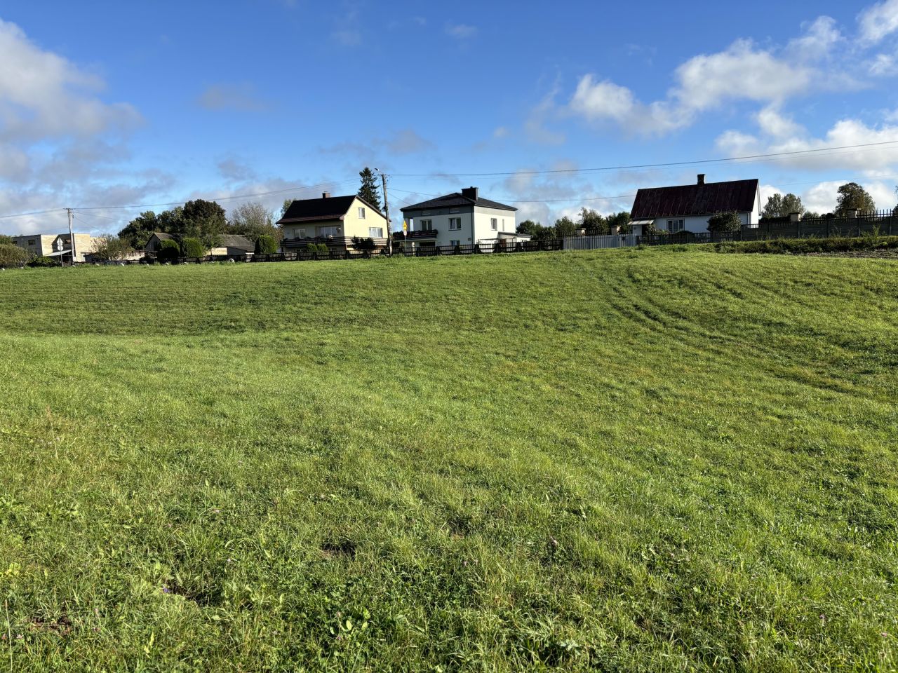 Działka rolna Nietulisko Duże. Zdjęcie 5