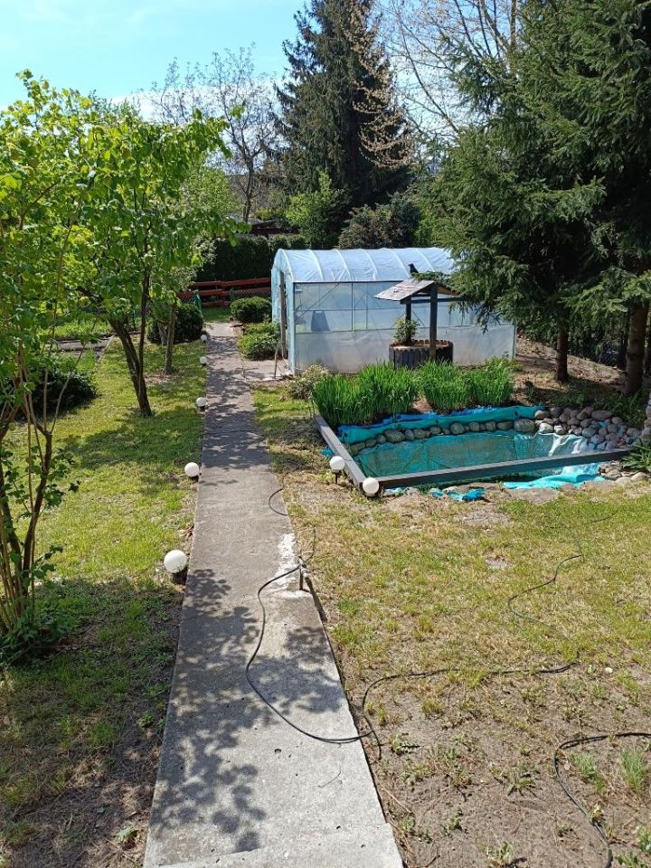 Działka rod Tomaszów Mazowiecki, ul. Krzywa. Zdjęcie 4