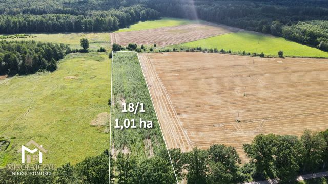 Działka rolna Masuny. Zdjęcie 5