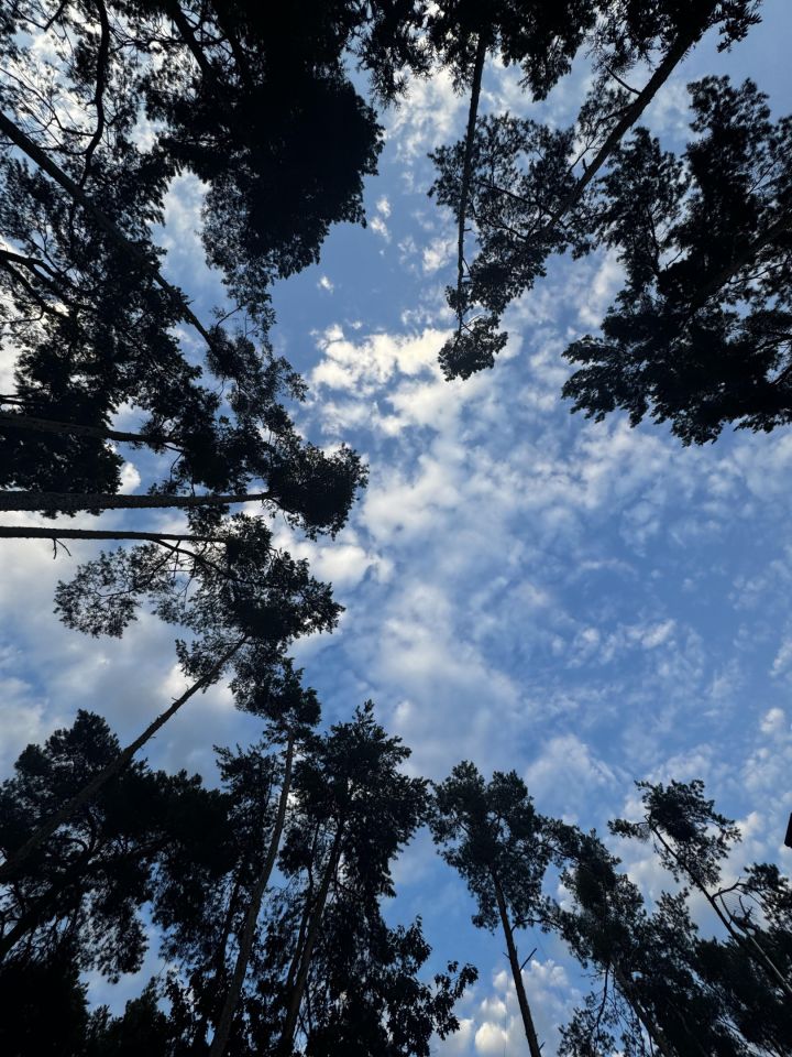 dom letniskowy, 3 pokoje Brenno, Ostrów. Zdjęcie 13