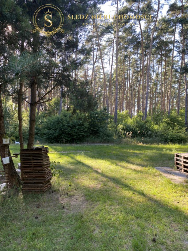 Działka budowlana Straszowice Żychlin. Zdjęcie 3