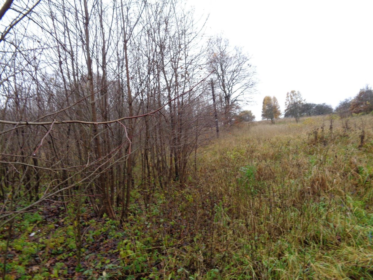 Działka budowlana Miękinia Wzgórze. Zdjęcie 6