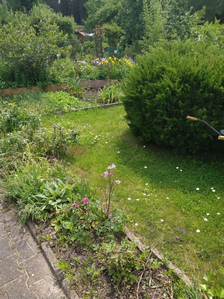 Działka rod Olsztyn. Zdjęcie 4